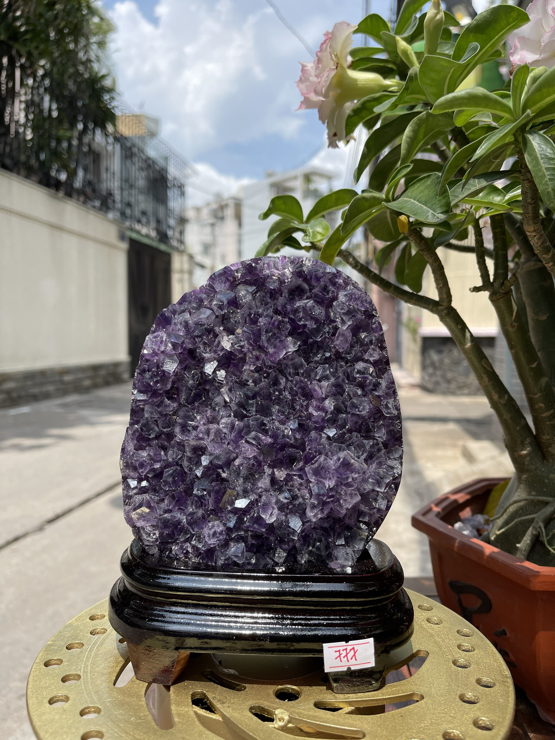 Bông thạch anh tím đậm - AMETHYST GEODE KT 19x14.5 CM (MS: TIM777)