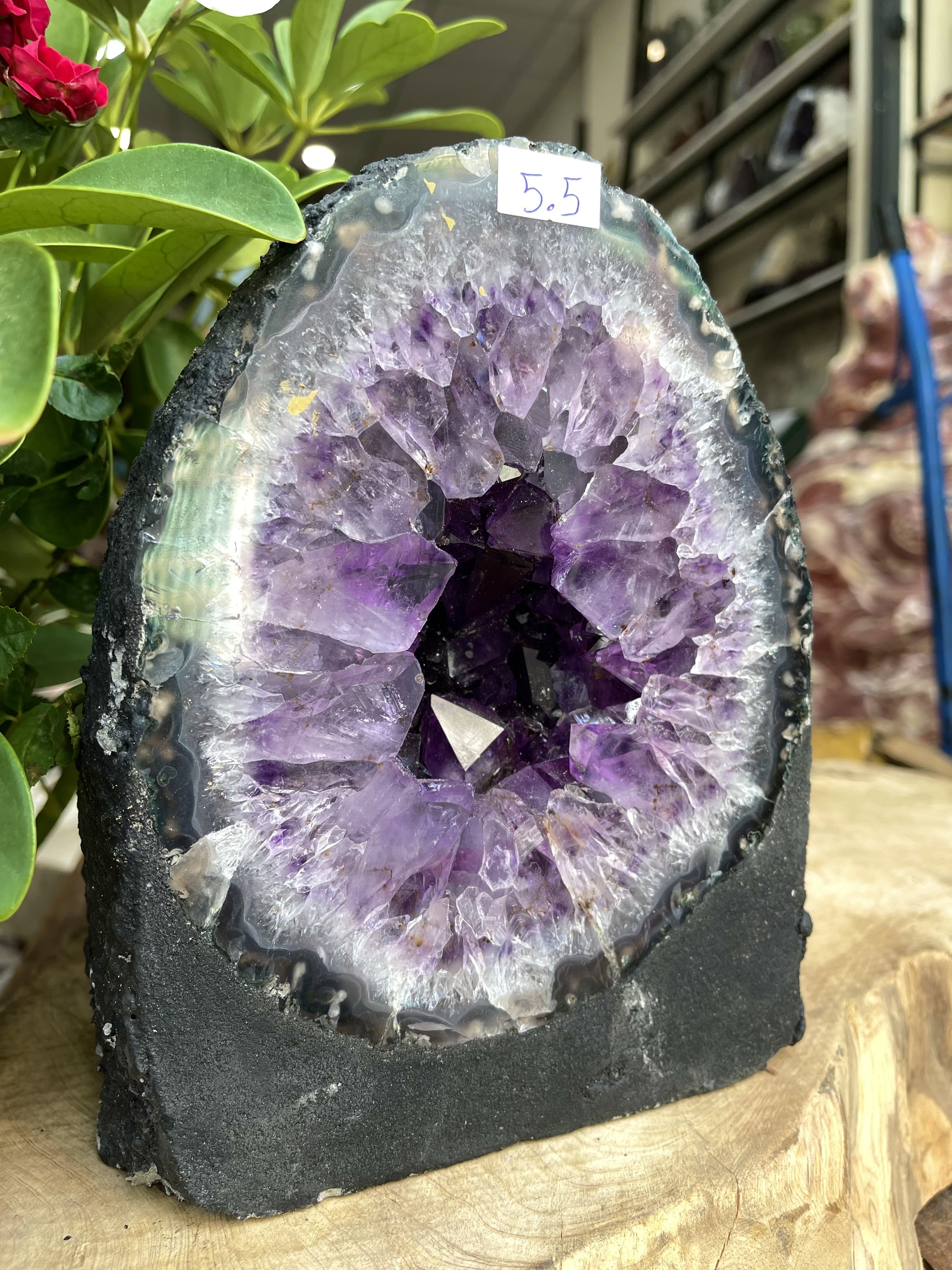 Hốc thạch anh tím, amethyst geode