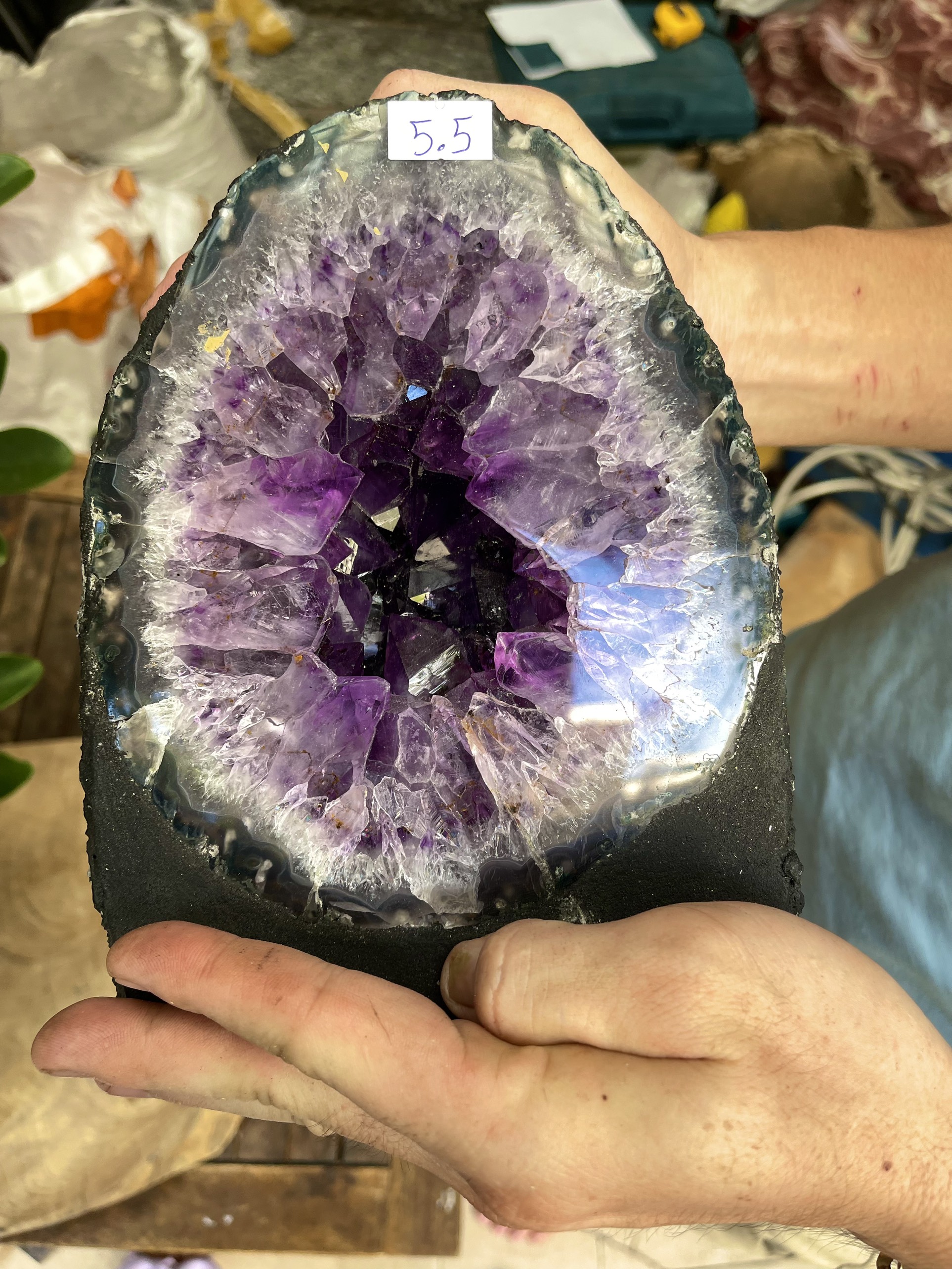 Hốc thạch anh tím, amethyst geode