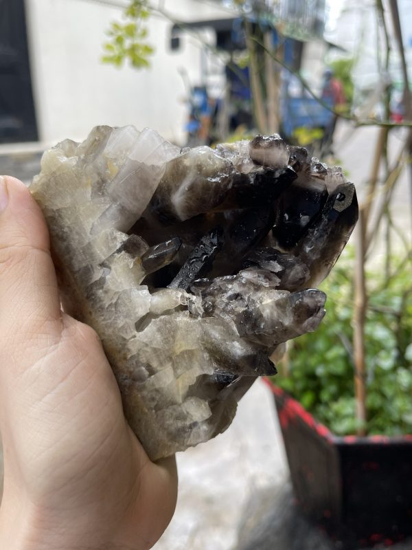 CỤM TINH THỂ THẠCH ANH KHÓI - Smoky quartz