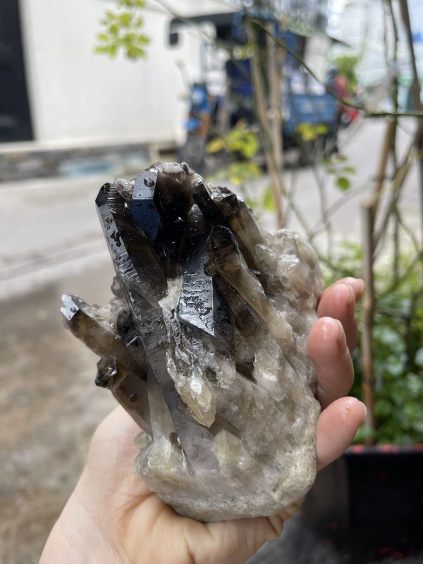 CỤM TINH THỂ THẠCH ANH KHÓI - Smoky quartz