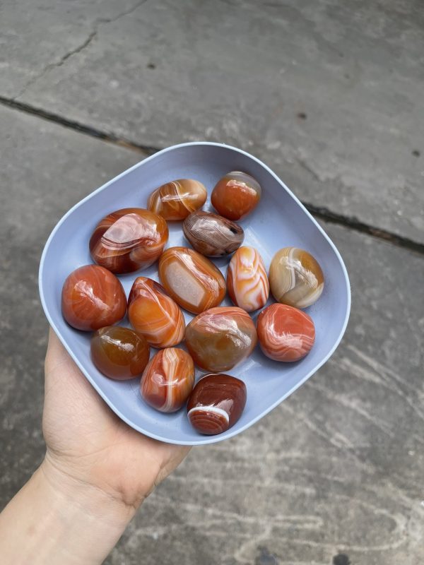 Palm đá mã não đỏ cam - Agate Palm - Đá thanh tẩy, sưu tầm