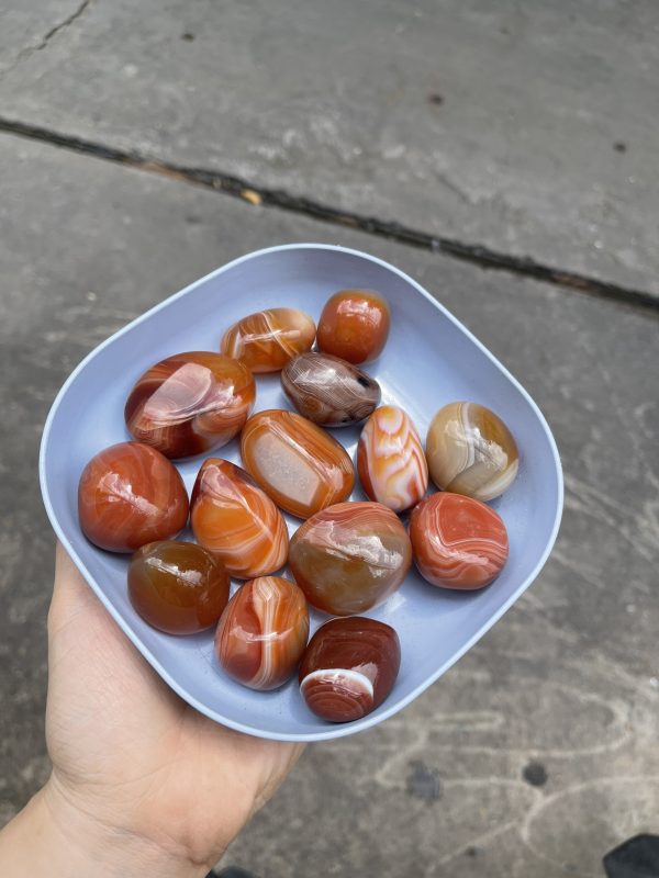 Palm đá mã não đỏ cam - Agate Palm - Đá thanh tẩy, sưu tầm