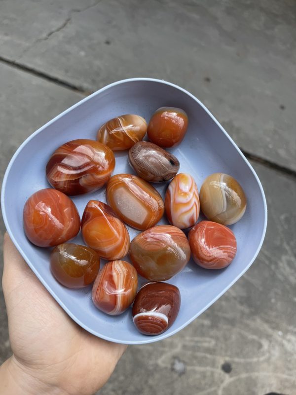 Palm đá mã não đỏ cam - Agate Palm - Đá thanh tẩy, sưu tầm