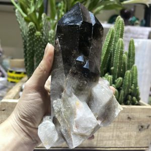 Mầm Thạch Anh Khói - Smoky Quartz (KT07), KT: 15x11 CM, KL: 1.16 KG