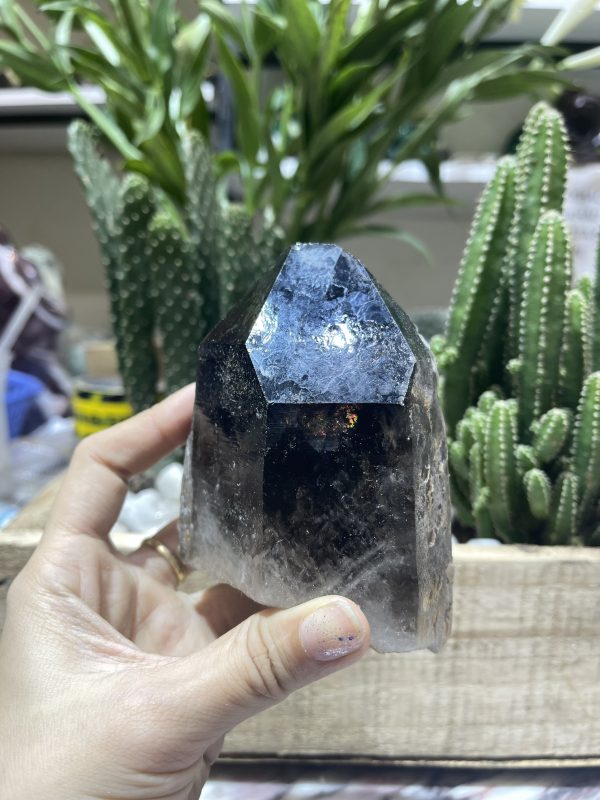 Mầm Thạch Anh Khói - Smoky Quartz (KT04), KT: 10x7.5 CM, KL: 0.545 KG