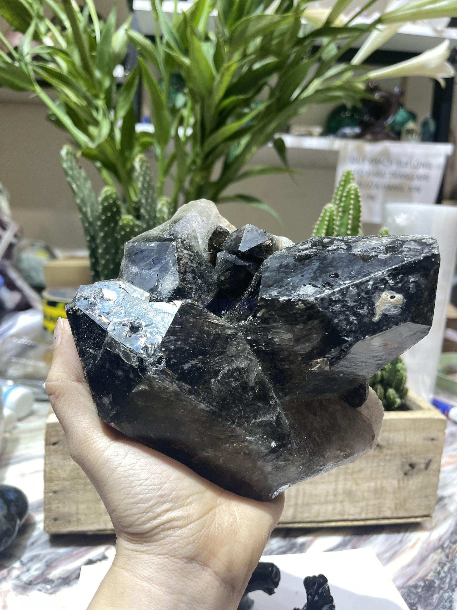 Mầm Thạch Anh Khói - Smoky Quartz (KT1), KT: 15x14 CM, KL: 1.38 KG 