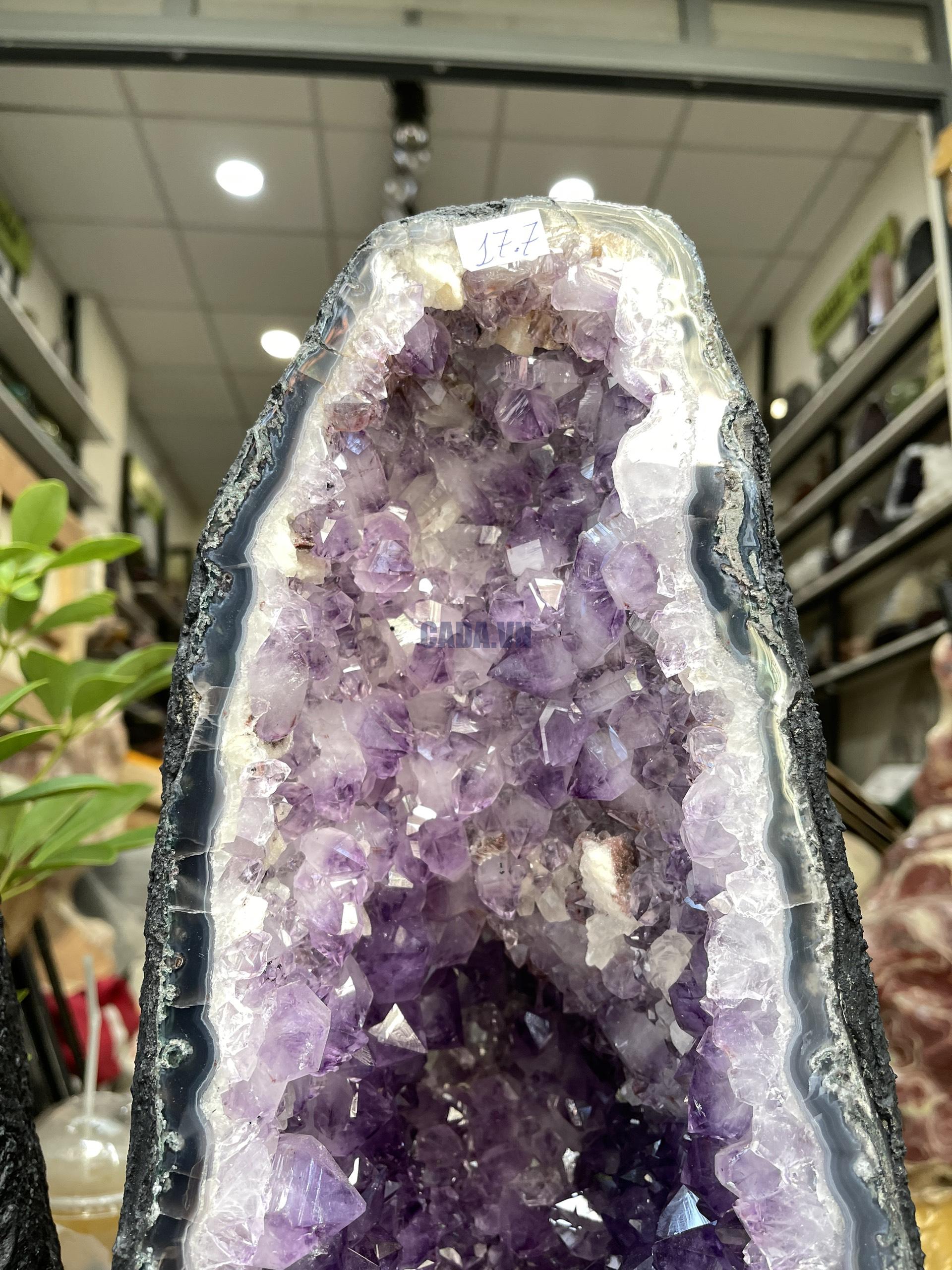 HỐC THẠCH ANH TÍM – AMETHYST GEODE – KT : 42X17 CM, KL:17.7KG (T92)