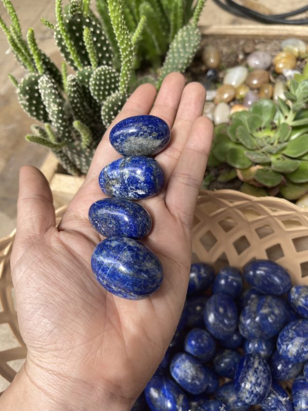 Tumbled Lapis - Đá Lapis dạng viên