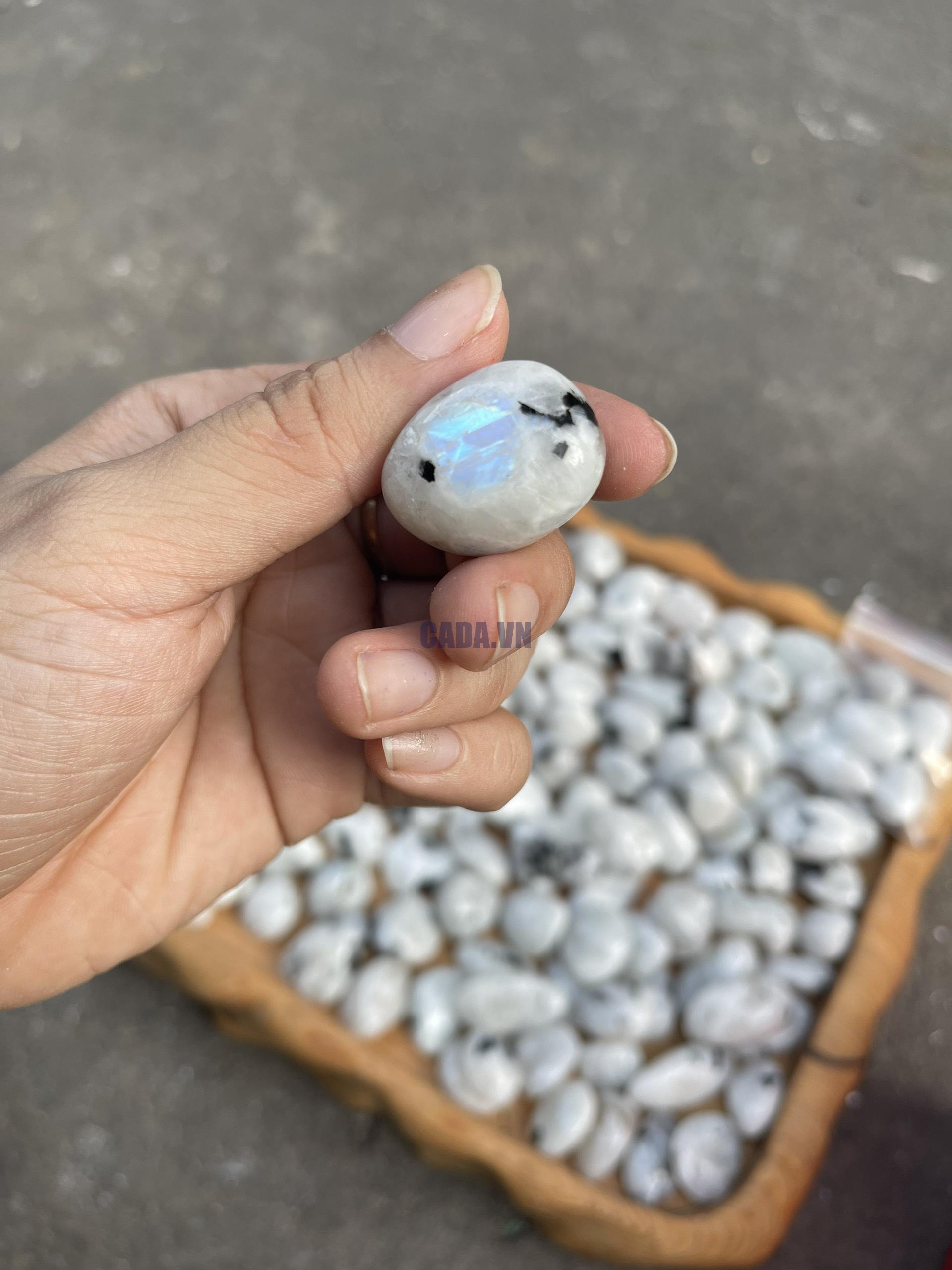 Tumbled Moonstone - Đá Mặt Trăng