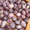 Pink Amethyst Tumbled - Thạch Anh Tím Hồng dạng sỏi | Đá thanh tẩy, sưu tầm