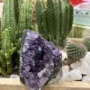 HỐC THẠCH ANH TÍM NHỎ - SMALL AMETHYST GEODE (TV92)