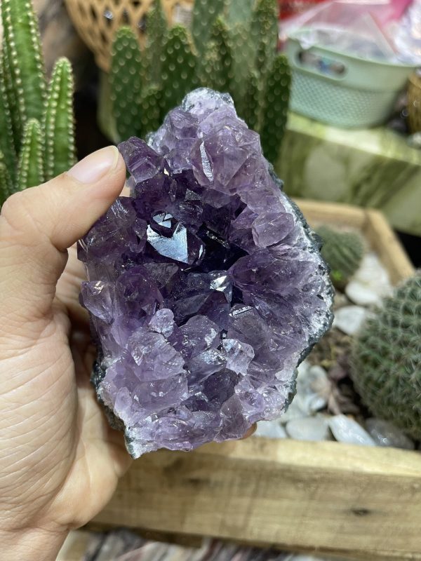 HỐC THẠCH ANH TÍM NHỎ - SMALL AMETHYST GEODE (TV93)