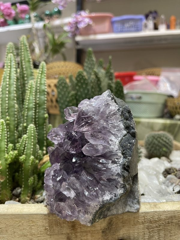 HỐC THẠCH ANH TÍM NHỎ - SMALL AMETHYST GEODE (TV93)