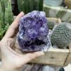 HỐC THẠCH ANH TÍM NHỎ - SMALL AMETHYST GEODE (TV94)