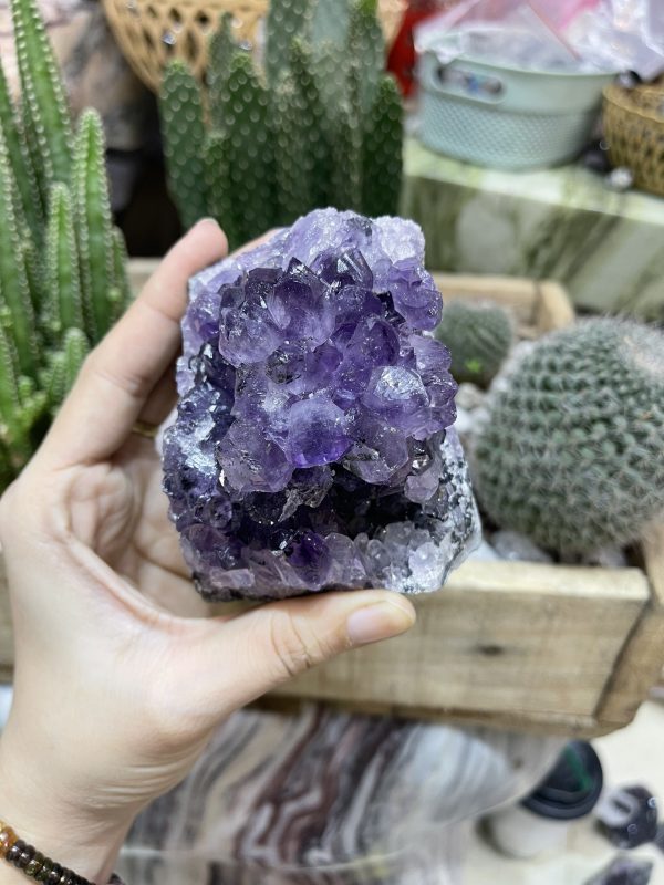 HỐC THẠCH ANH TÍM NHỎ - SMALL AMETHYST GEODE (TV94)