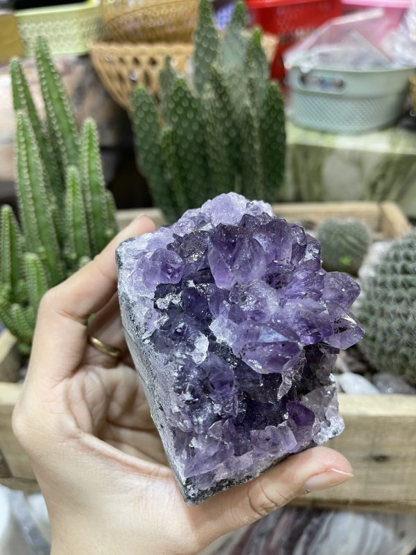 HỐC THẠCH ANH TÍM NHỎ - SMALL AMETHYST GEODE (TV94)