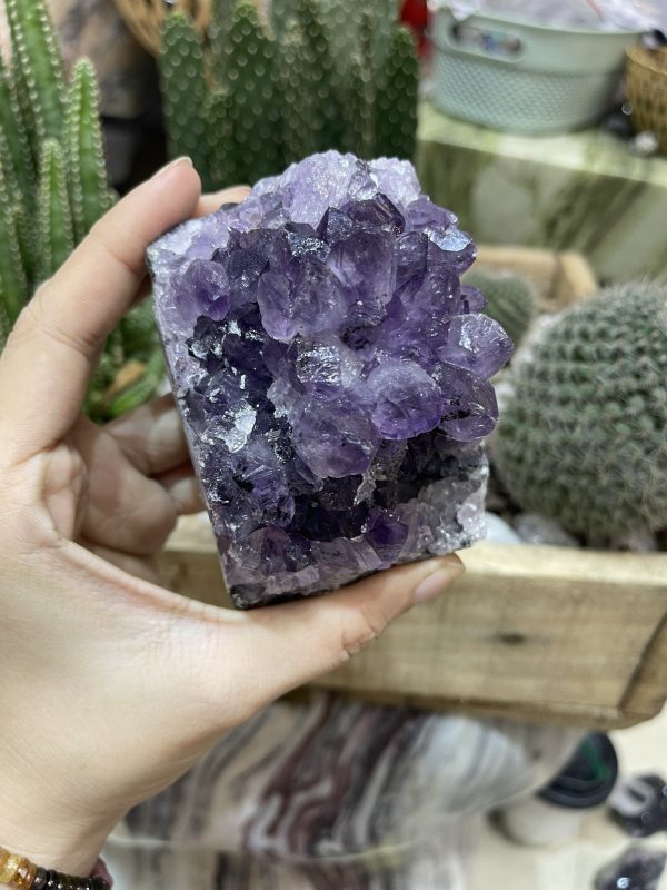 HỐC THẠCH ANH TÍM NHỎ - SMALL AMETHYST GEODE (TV94)