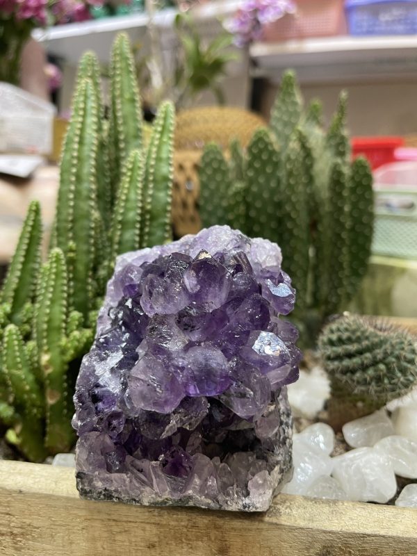 HỐC THẠCH ANH TÍM NHỎ - SMALL AMETHYST GEODE (TV94)