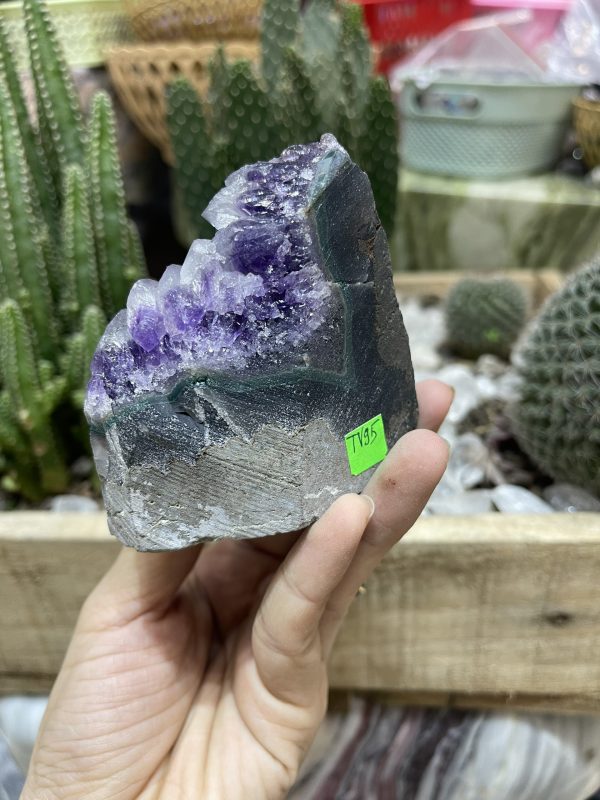 HỐC THẠCH ANH TÍM NHỎ - SMALL AMETHYST GEODE (TV95)