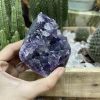 HỐC THẠCH ANH TÍM NHỎ - SMALL AMETHYST GEODE (TV95)