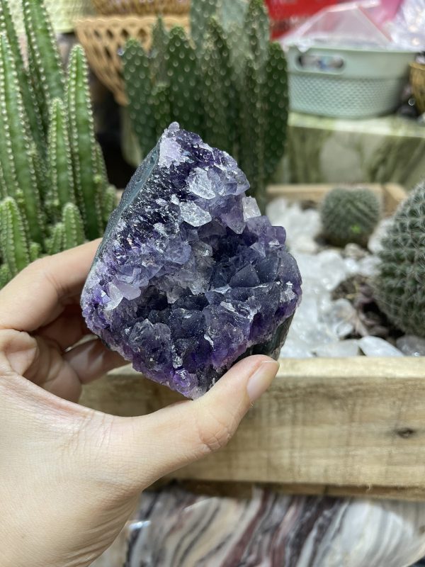 HỐC THẠCH ANH TÍM NHỎ - SMALL AMETHYST GEODE (TV95)