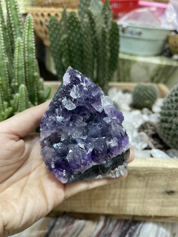 HỐC THẠCH ANH TÍM NHỎ - SMALL AMETHYST GEODE (TV95)