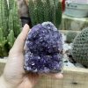 HỐC THẠCH ANH TÍM NHỎ - SMALL AMETHYST GEODE (TV96)