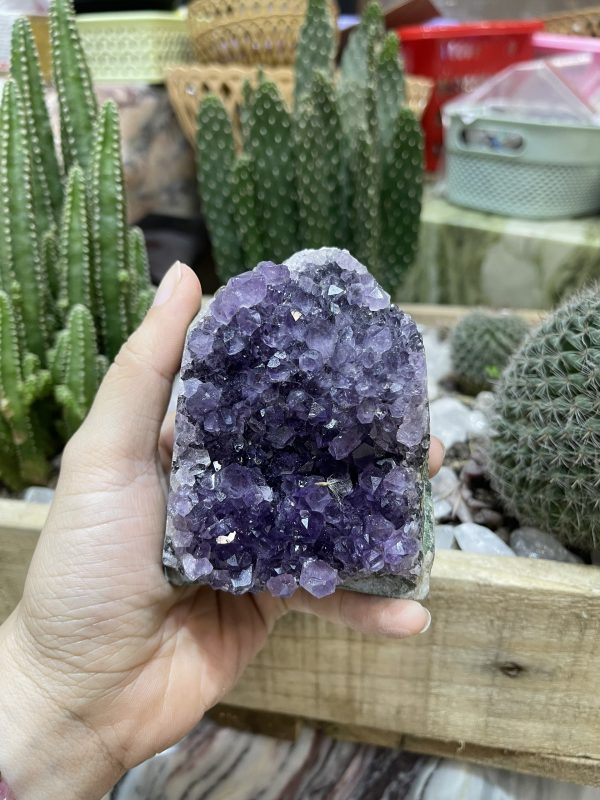 HỐC THẠCH ANH TÍM NHỎ - SMALL AMETHYST GEODE (TV96)