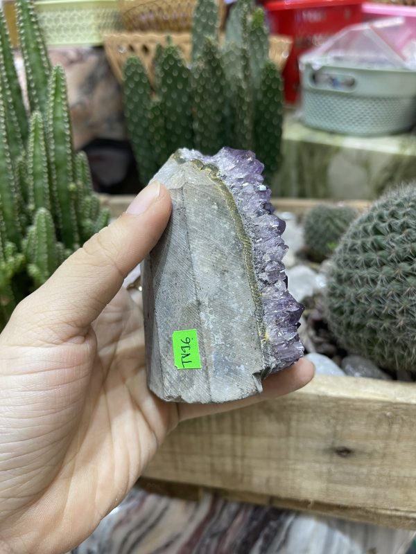 HỐC THẠCH ANH TÍM NHỎ - SMALL AMETHYST GEODE (TV96)