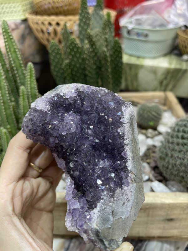 HỐC THẠCH ANH TÍM NHỎ - SMALL AMETHYST GEODE (TV97)