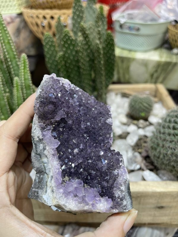 HỐC THẠCH ANH TÍM NHỎ - SMALL AMETHYST GEODE (TV97)