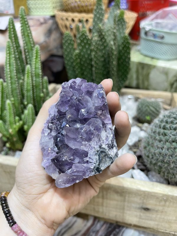 HỐC THẠCH ANH TÍM NHỎ - SMALL AMETHYST GEODE (TV98)