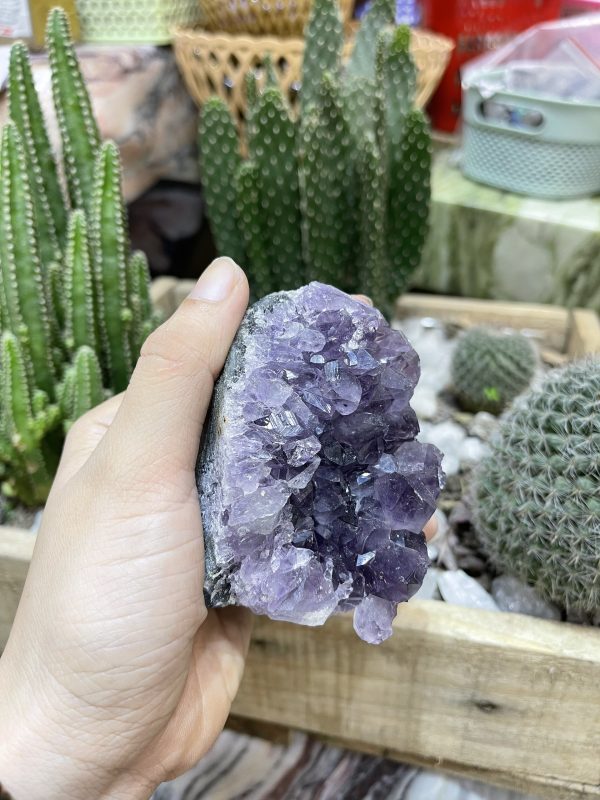 HỐC THẠCH ANH TÍM NHỎ - SMALL AMETHYST GEODE (TV98)