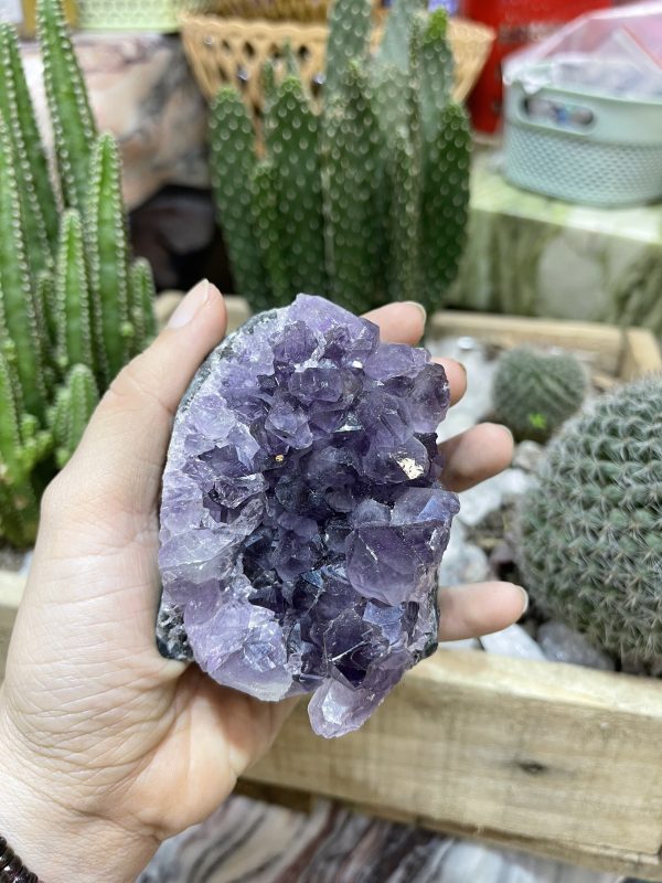 HỐC THẠCH ANH TÍM NHỎ - SMALL AMETHYST GEODE (TV98)