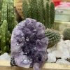 HỐC THẠCH ANH TÍM NHỎ - SMALL AMETHYST GEODE (TV98)