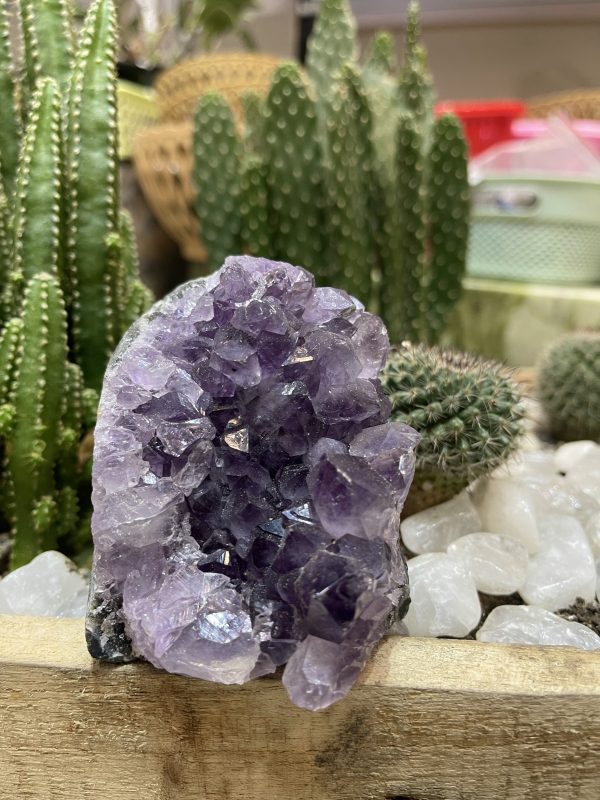 HỐC THẠCH ANH TÍM NHỎ - SMALL AMETHYST GEODE (TV98)