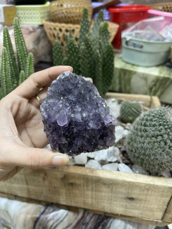 HỐC THẠCH ANH TÍM NHỎ - SMALL AMETHYST GEODE (TV99)