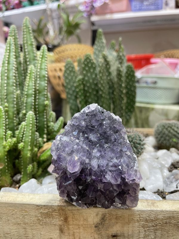 HỐC THẠCH ANH TÍM NHỎ - SMALL AMETHYST GEODE (TV99)