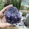 HỐC THẠCH ANH TÍM NHỎ - SMALL AMETHYST GEODE (TV99)