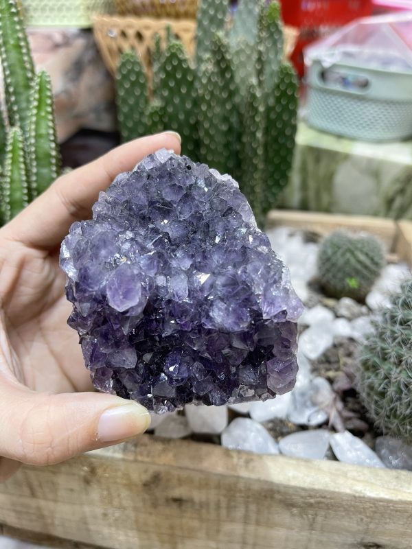 HỐC THẠCH ANH TÍM NHỎ - SMALL AMETHYST GEODE (TV99)