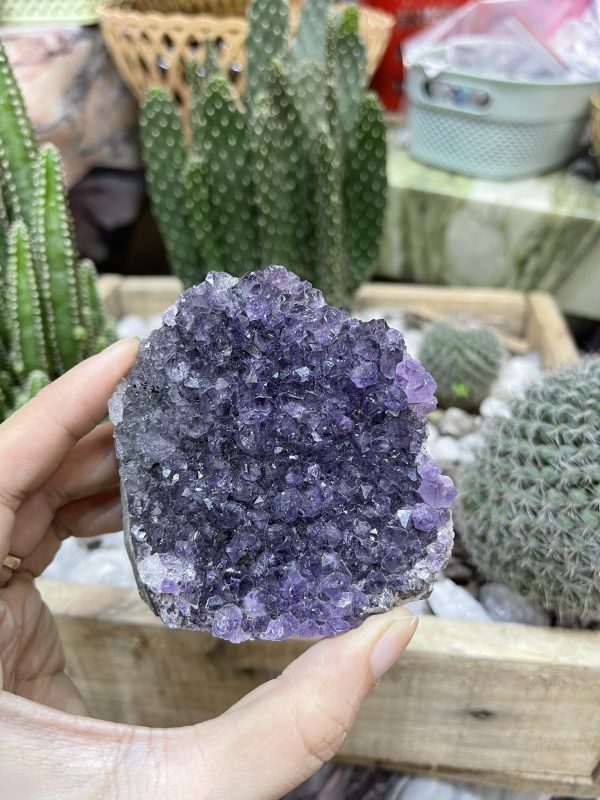 HỐC THẠCH ANH TÍM NHỎ - SMALL AMETHYST GEODE (TV100)