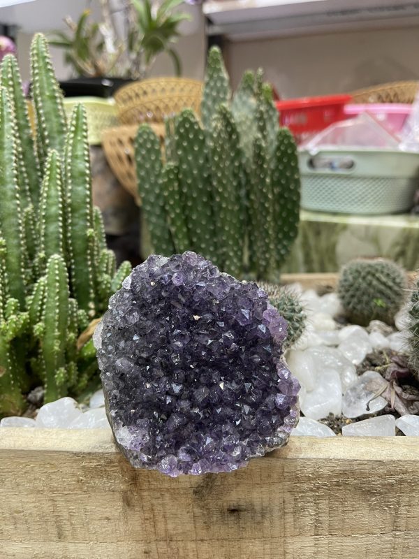 HỐC THẠCH ANH TÍM NHỎ - SMALL AMETHYST GEODE (TV100)