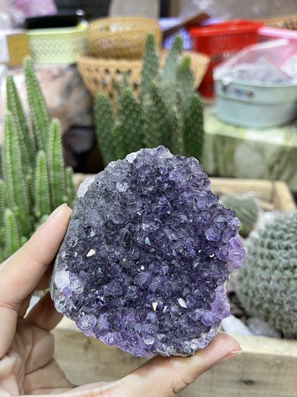 HỐC THẠCH ANH TÍM NHỎ - SMALL AMETHYST GEODE (TV100)