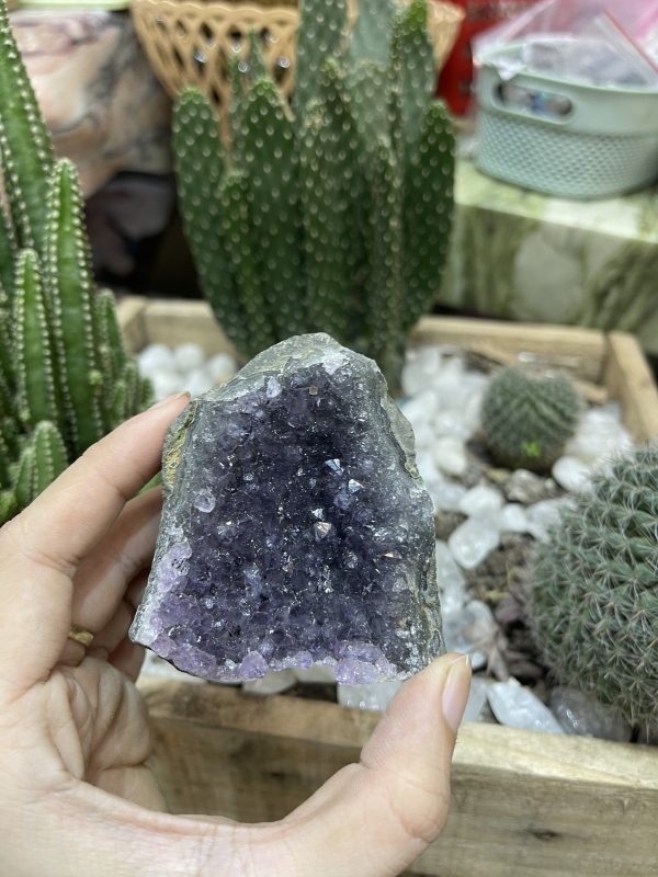 HỐC THẠCH ANH TÍM NHỎ - SMALL AMETHYST GEODE (TV101)