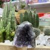 HỐC THẠCH ANH TÍM NHỎ - SMALL AMETHYST GEODE (TV101)