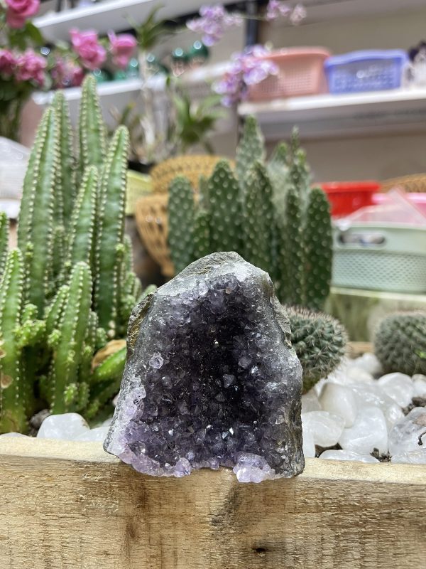 HỐC THẠCH ANH TÍM NHỎ - SMALL AMETHYST GEODE (TV101)