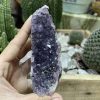 HỐC THẠCH ANH TÍM NHỎ - SMALL AMETHYST GEODE (TV103)