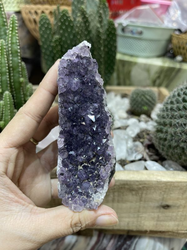 HỐC THẠCH ANH TÍM NHỎ - SMALL AMETHYST GEODE (TV103)