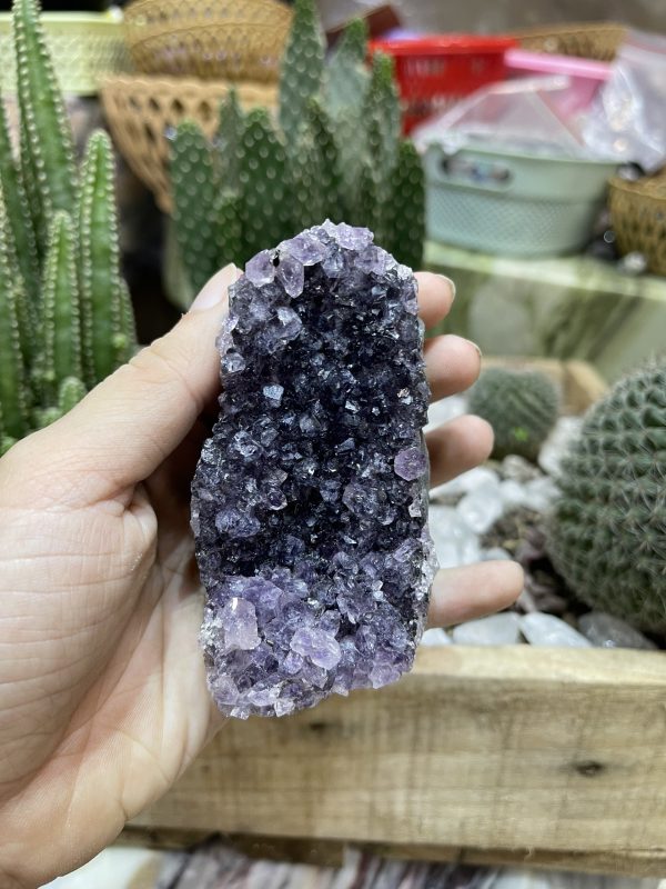 HỐC THẠCH ANH TÍM NHỎ - SMALL AMETHYST GEODE (TV104)